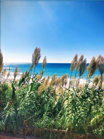 Conil Vistas Al Mar Del Roqueo, Fuente Del Gallo Conil De La Frontera Dış mekan fotoğraf