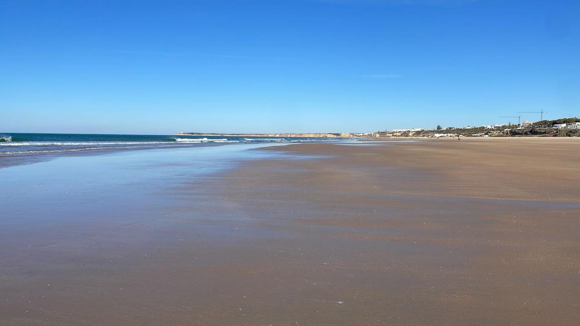 Conil Vistas Al Mar Del Roqueo, Fuente Del Gallo Conil De La Frontera Dış mekan fotoğraf